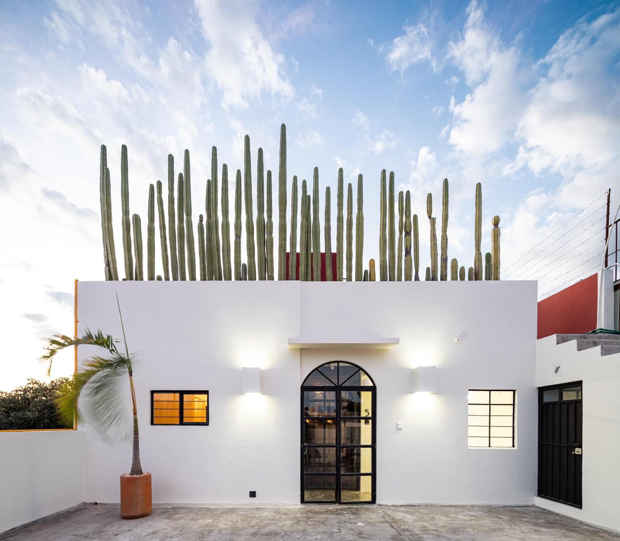 Casa Lumos - Minimalist Comfort Suites In Centro Historico Oaxaca Extérieur photo